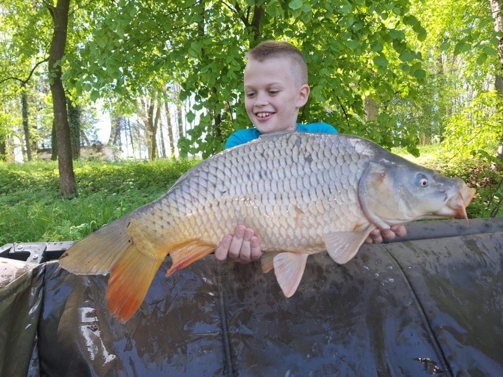 Domki Pod Debami Mojecice Bagian luar foto
