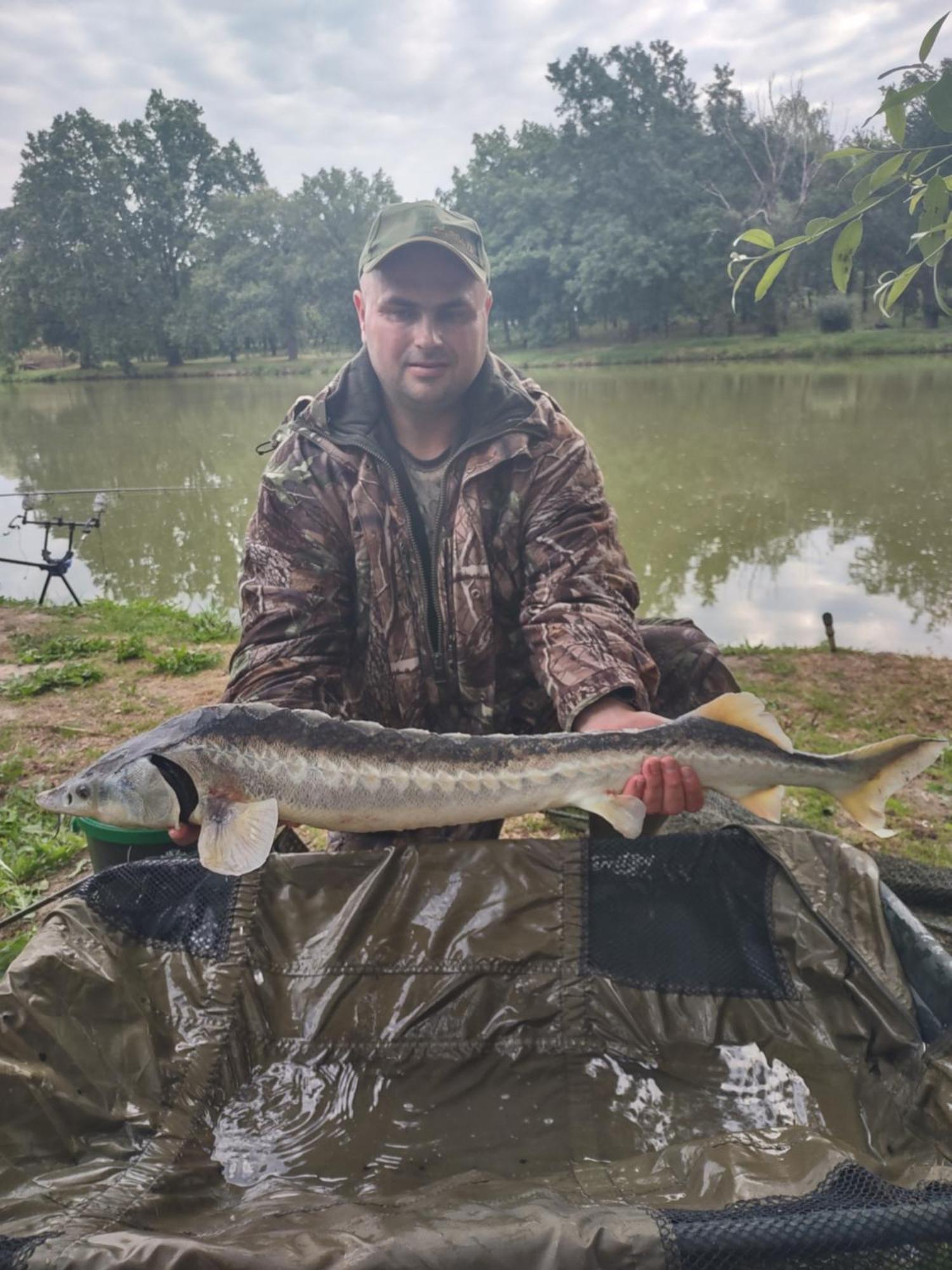 Domki Pod Debami Mojecice Bagian luar foto