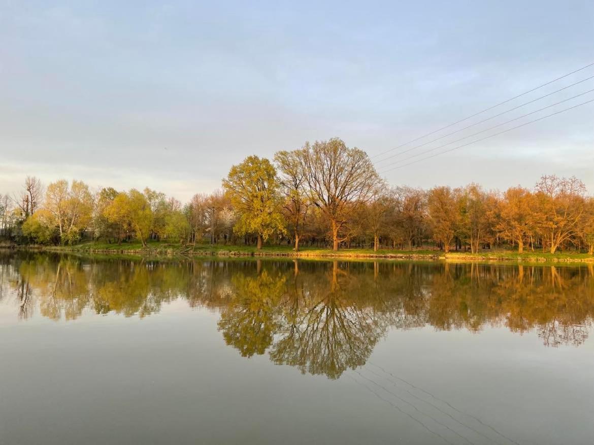Domki Pod Debami Mojecice Bagian luar foto