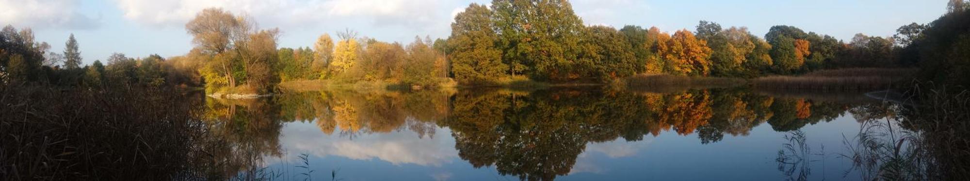 Domki Pod Debami Mojecice Bagian luar foto