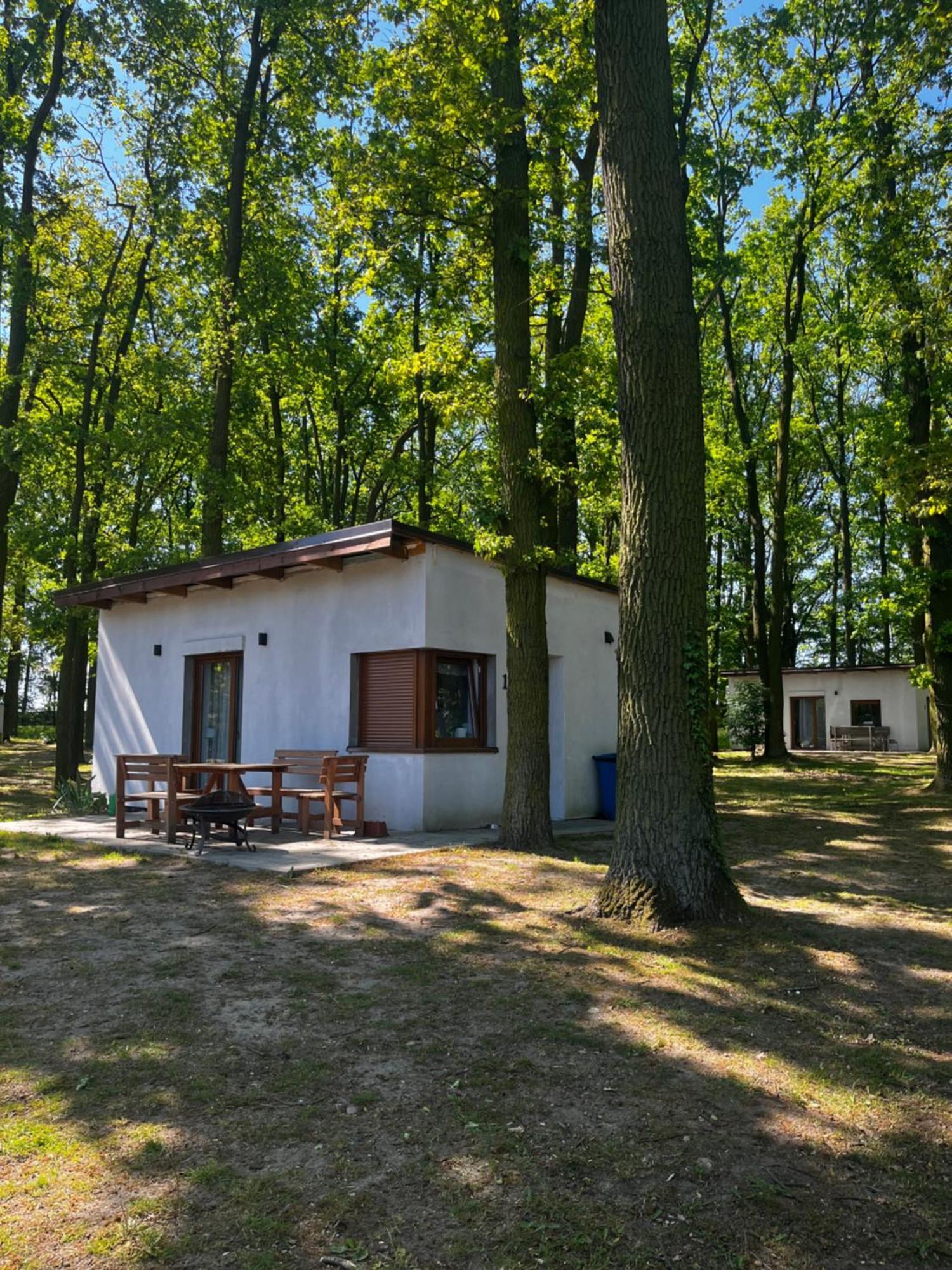 Domki Pod Debami Mojecice Bagian luar foto