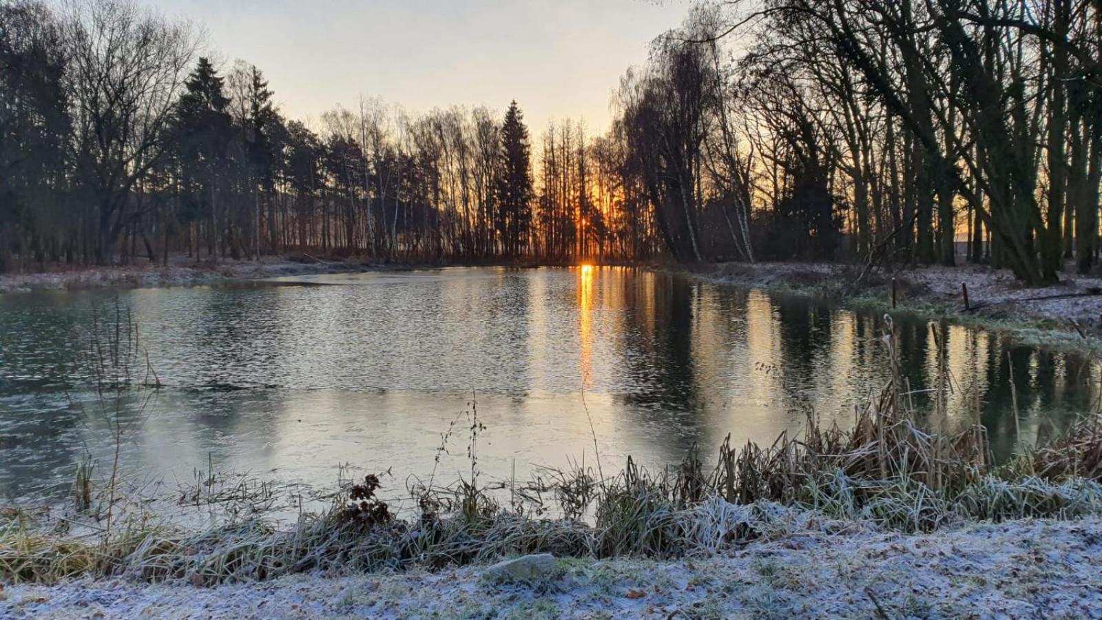 Domki Pod Debami Mojecice Bagian luar foto