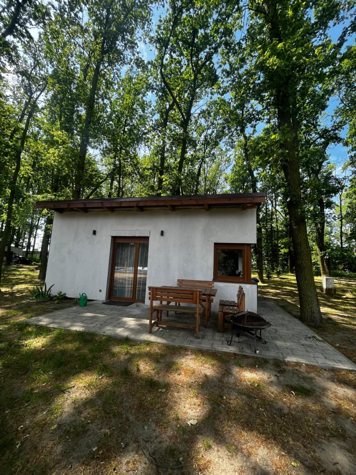 Domki Pod Debami Mojecice Bagian luar foto
